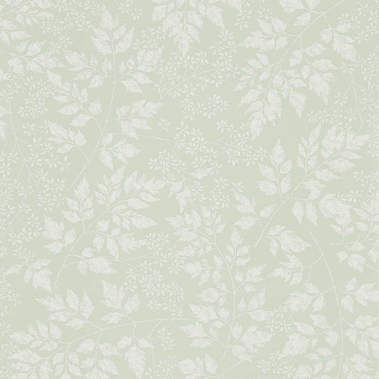 SANDERSON Spring Leaves Wallpaper Leaves , Trees Celadon  Flexo-Printed Wallpaper - DHPO216372