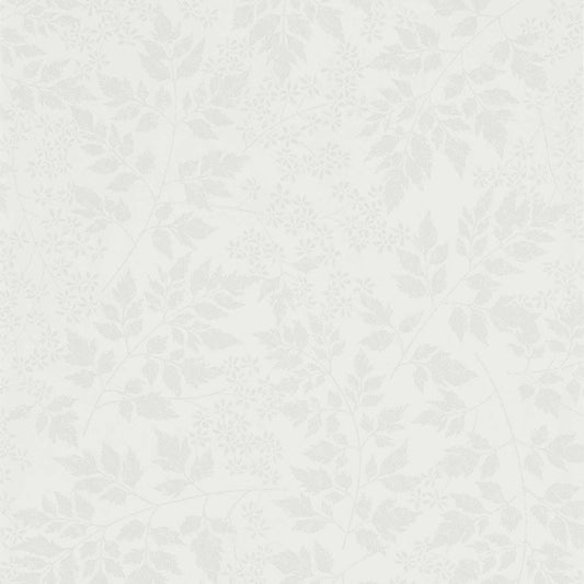 SANDERSON Spring Leaves Wallpaper Leaves , Trees Dove  Flexo-Printed Wallpaper - DHPO216373