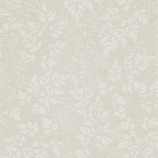 SANDERSON Spring Leaves Wallpaper Leaves , Trees Barley  Flexo-Printed Wallpaper - DHPO216374