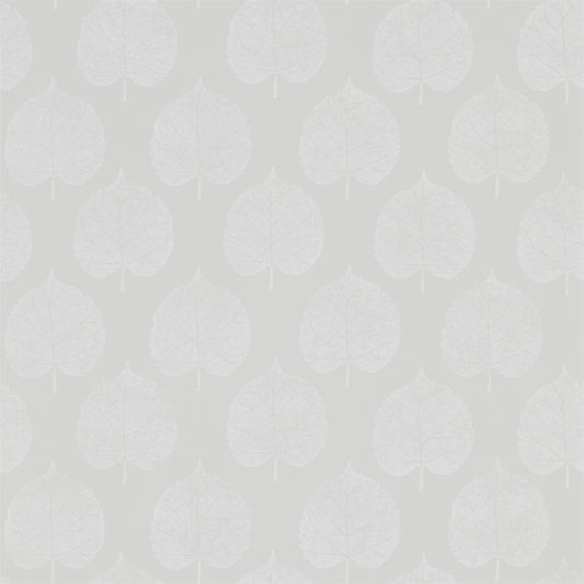 SANDERSON OUTLET Lyme Leaf Wallpaper Leaves , Trees Dove   - DHPO216384