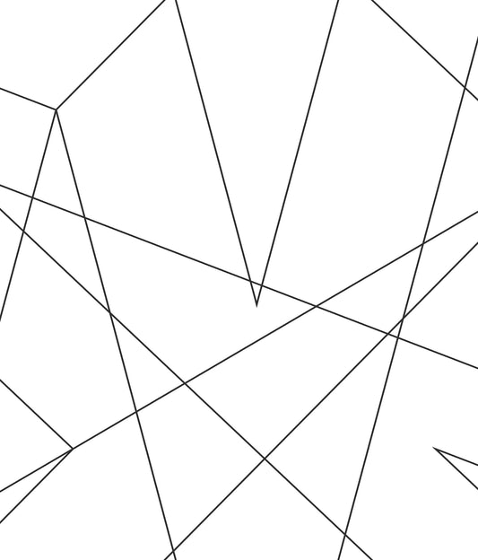 York Wallcoverings Disney Kids Vol. 4 Spider-Man Fracture Black Wallpaper  Children and Nursery Blacks   - DI0942