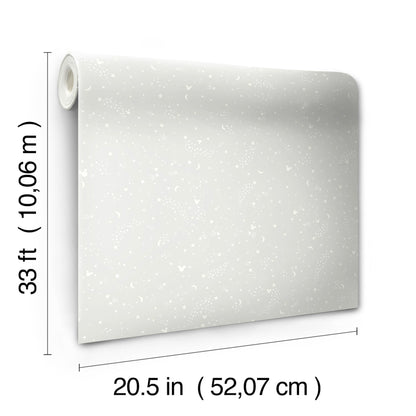 Light gray speckled wallpaper roll with terrazzo-like pattern, 20.5 in wide & 33 ft long.