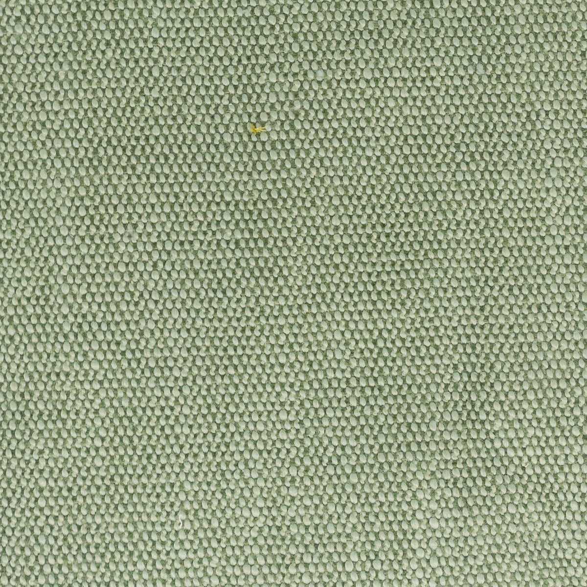STOUT TEXTILES  UPHOLSTERY,TEXTURE TRADITIONAL, SOLID APPLE,SEEDLING,SPRING   - DIMI-1