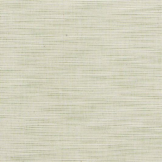 STOUT TEXTILES  MULTIPURPOSE,TEXTURE TRADITIONAL, SOLID PEAR   - DISB-3