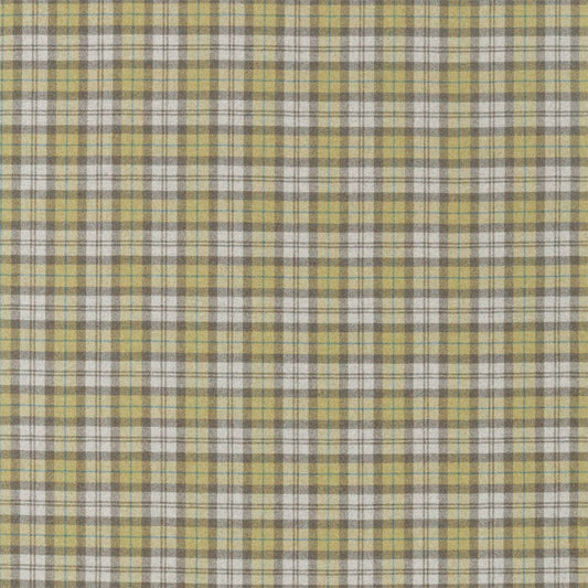 SANDERSON Fenton Check Fabric Checks Caraway,Green   - DISW236743