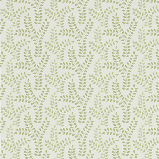 SANDERSON Yarton Wallpaper Leaves , Trees Moss  Gravure Printed Wallpaper - DLMW216887