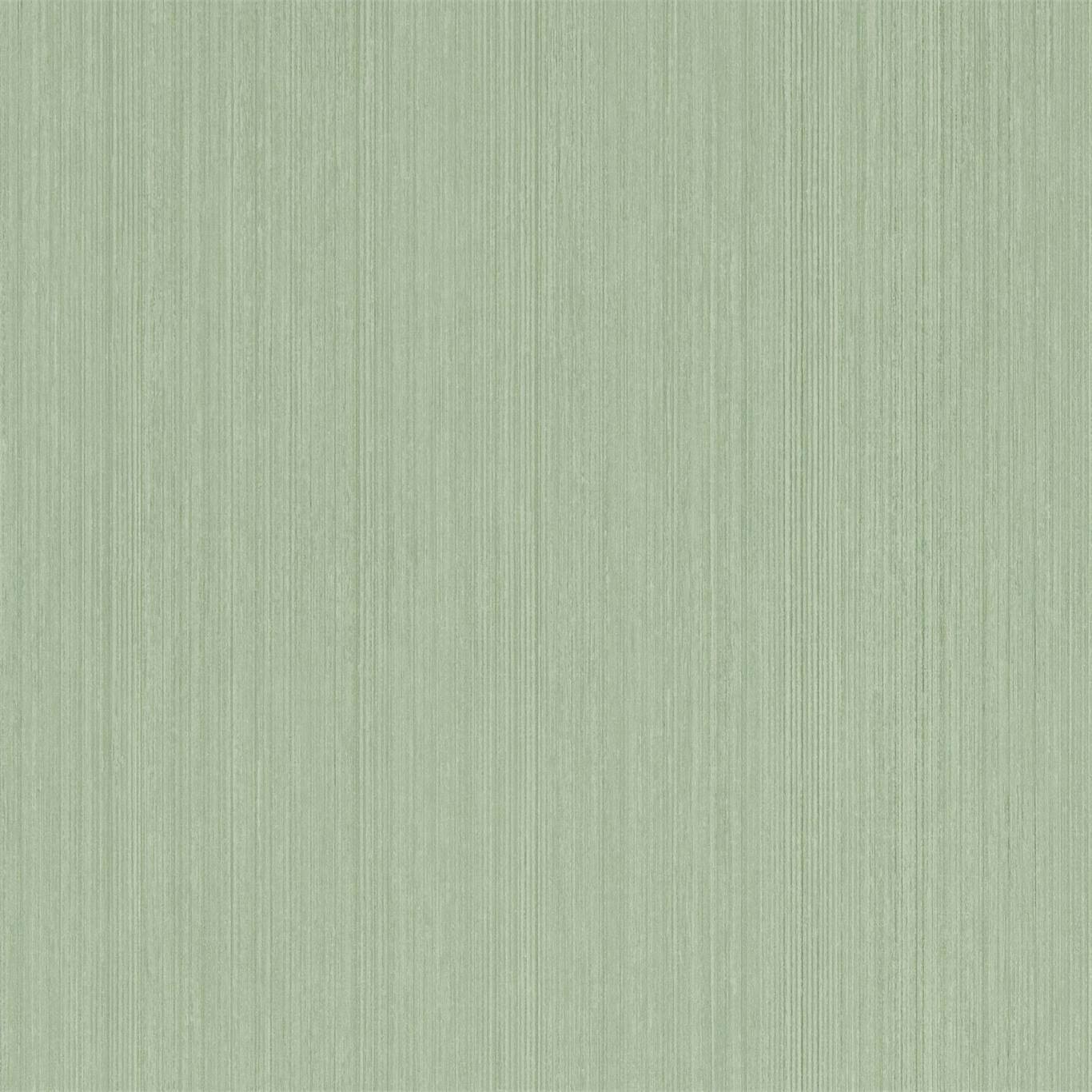 SANDERSON Osney Wallpaper Plains , Textures Leaf Green  Gravure - Wide Width Printed Wallpaper - DLMW216892