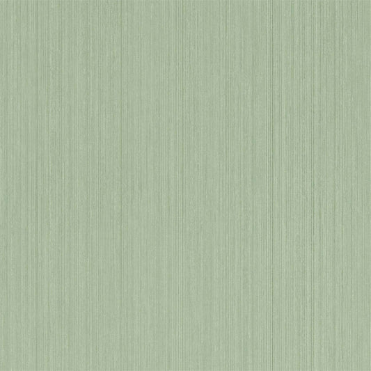 SANDERSON Osney Wallpaper Plains , Textures Leaf Green  Gravure - Wide Width Printed Wallpaper - DLMW216892