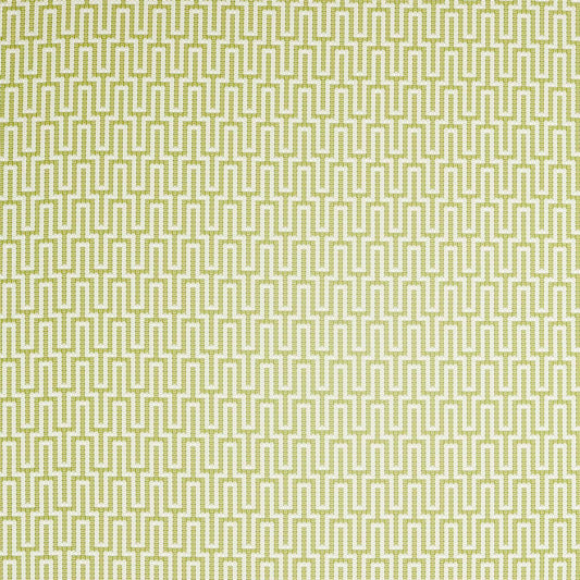 SANDERSON Linnean  Fabric Geometric Lime   - DLNC236785