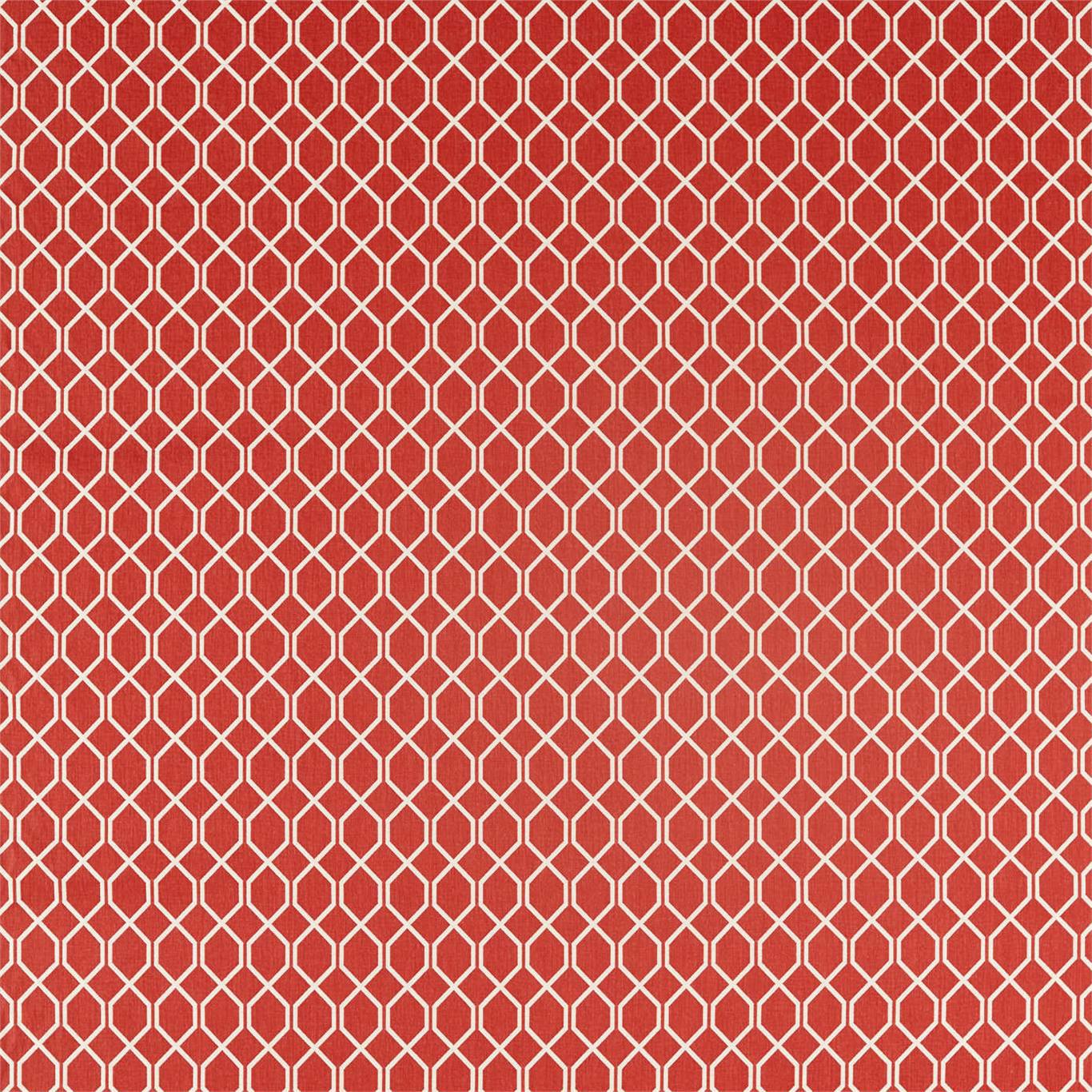 SANDERSON Botanic Trellis Fabric Geometric Bengal Red   - DLNC236788