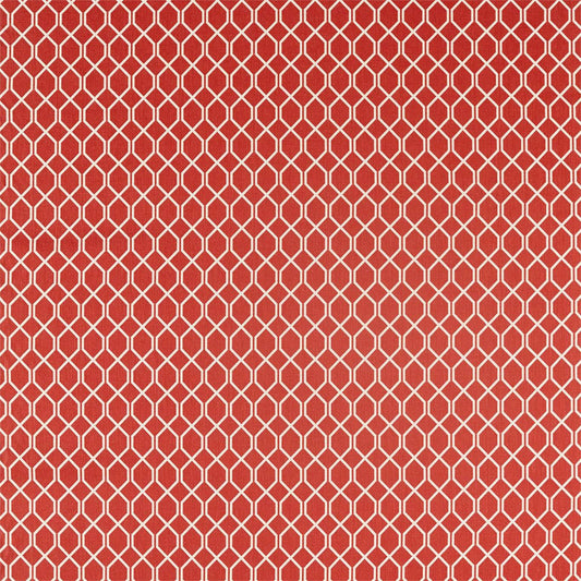 SANDERSON Botanic Trellis Fabric Geometric Bengal Red   - DLNC236788