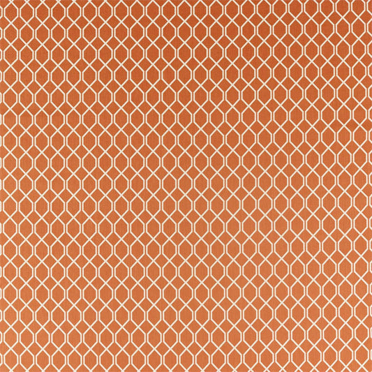 SANDERSON Botanic Trellis Fabric Geometric Papaya   - DLNC236791