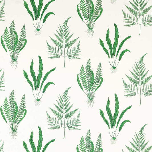 SANDERSON OUTLET Woodland Ferns Fabric Leaves , Trees Botanical Green   - DLUM226927