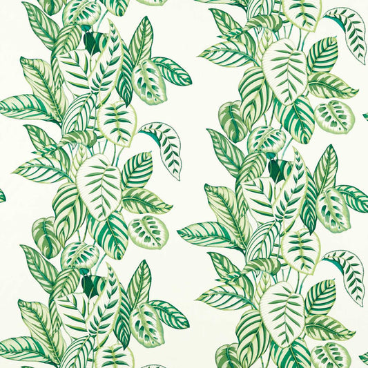 SANDERSON Calathea Fabric Floral ,Botanical Botanical Green   - DLUM226943