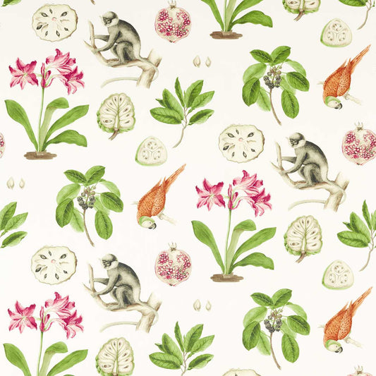 SANDERSON OUTLET Capuchins Fabric Animals Multi   - DLUM226944