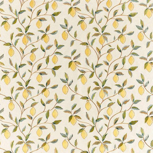 MORRIS & CO Lemon Tree Embroidery Fabric Leaves , Trees Bayleaf,Lemon   - DM5F236823