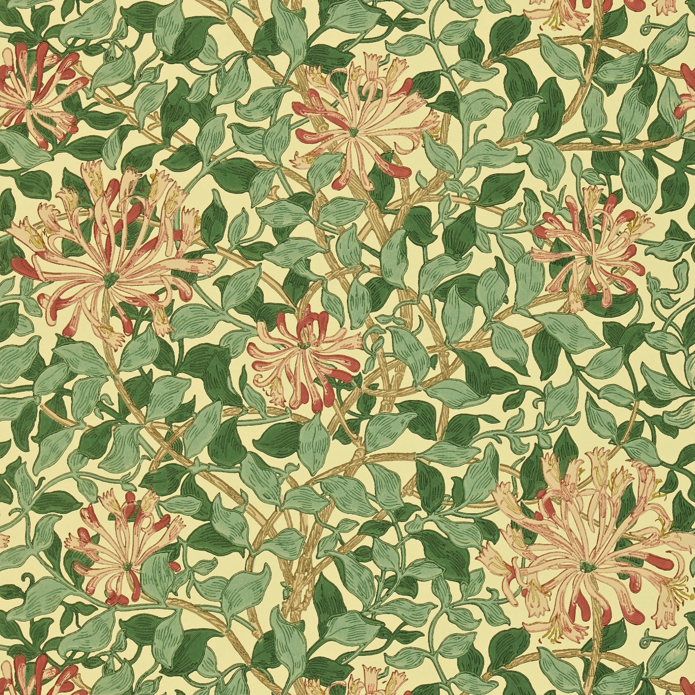 MORRIS & CO Honeysuckle Wallpaper Classic Floral Green, Coral,Pink  Surface- Printed Wallpaper - DMC1HS102