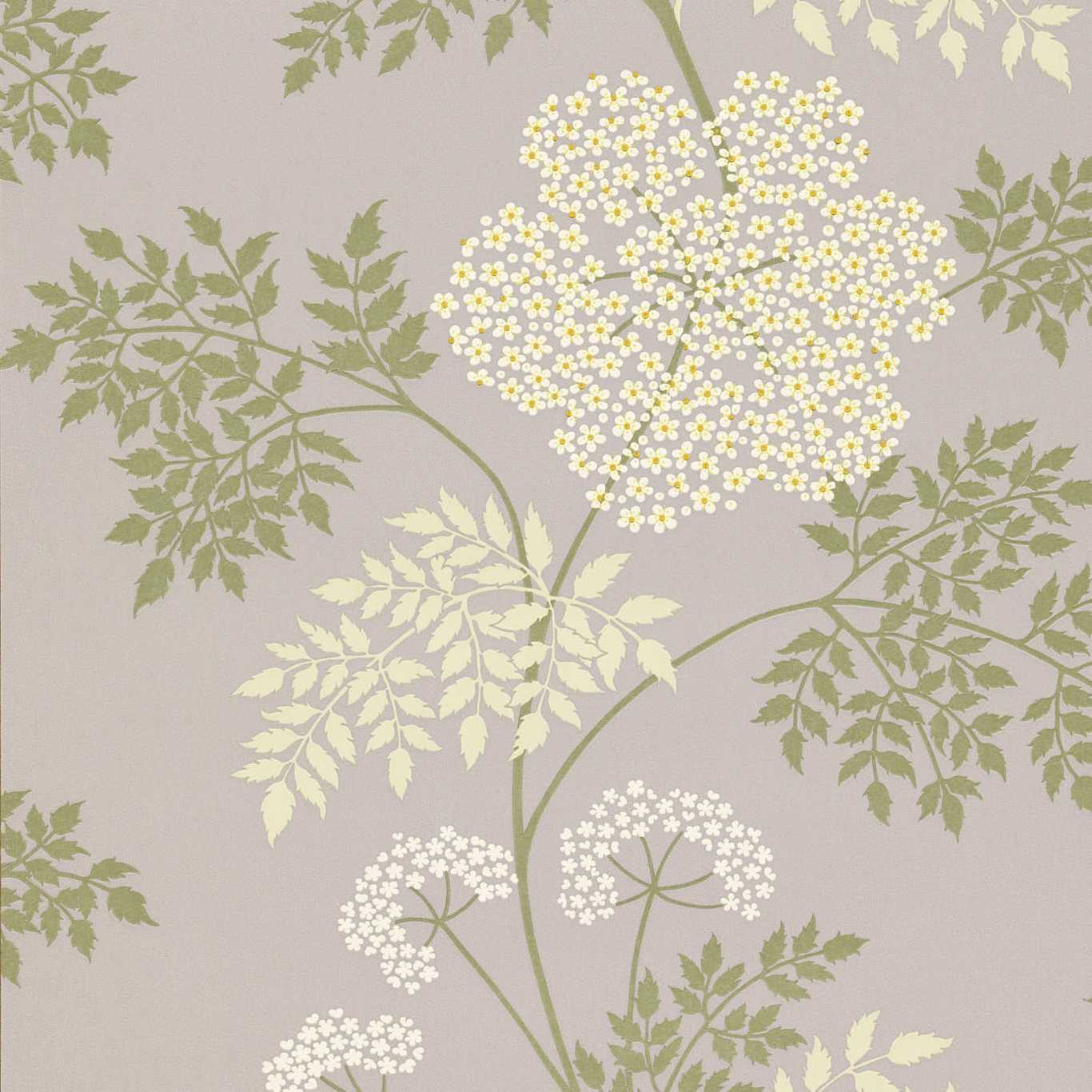 SANDERSON Cowparsley Wallpaper Leaves , Trees Amethyst   Flexo-Printed Wallpaper - DOPWCO103