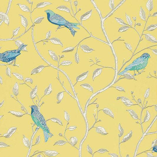 SANDERSON Finches Wallpaper Birds Yellow  Flexo-Printed Wallpaper - DOPWFI101