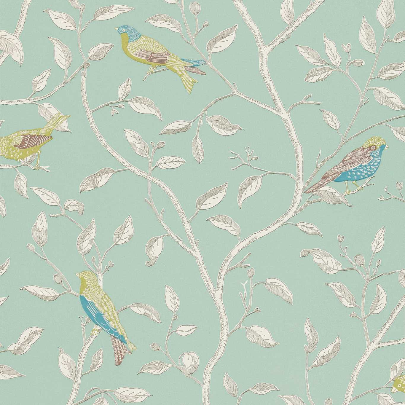Pastel teal wallpaper featuring white tree branches and colorful perched birds in blue, green, and yellow.