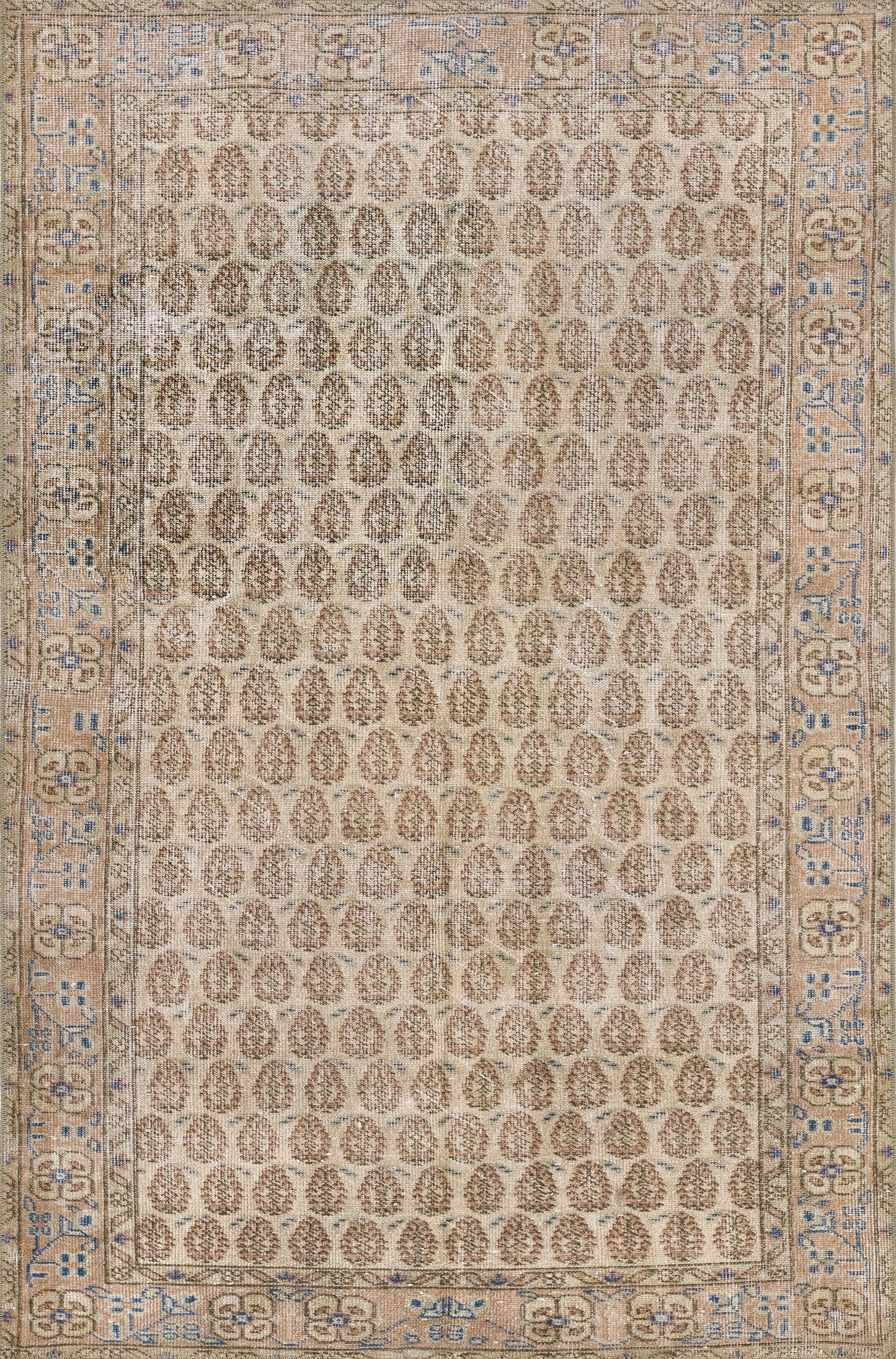 Beige Persian-inspired area rug featuring repeating oval motifs and a blue-gold floral border.