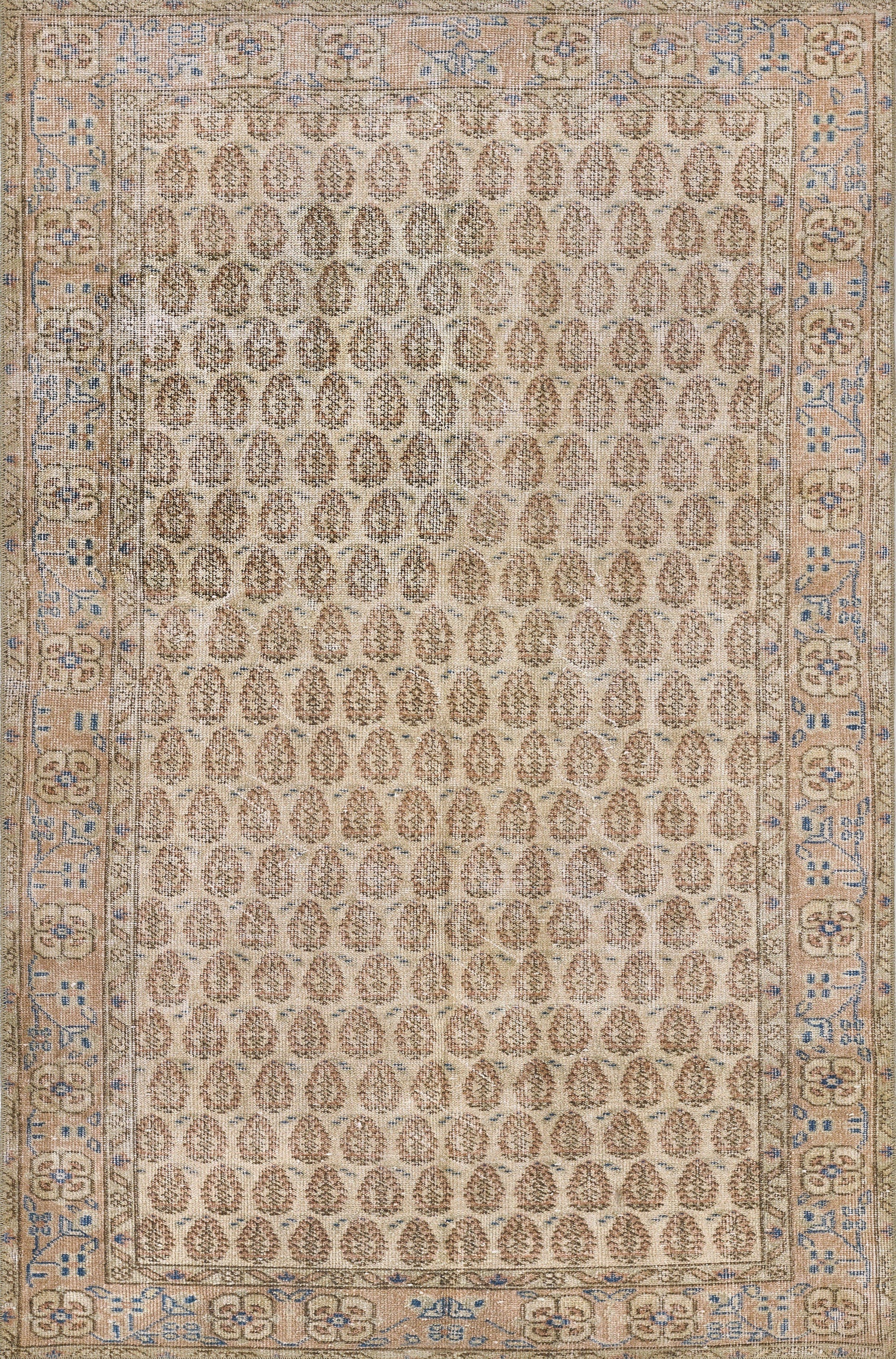 Beige oriental area rug with repeating brown oval motifs; blue-ivory bordered geometric scroll pattern.