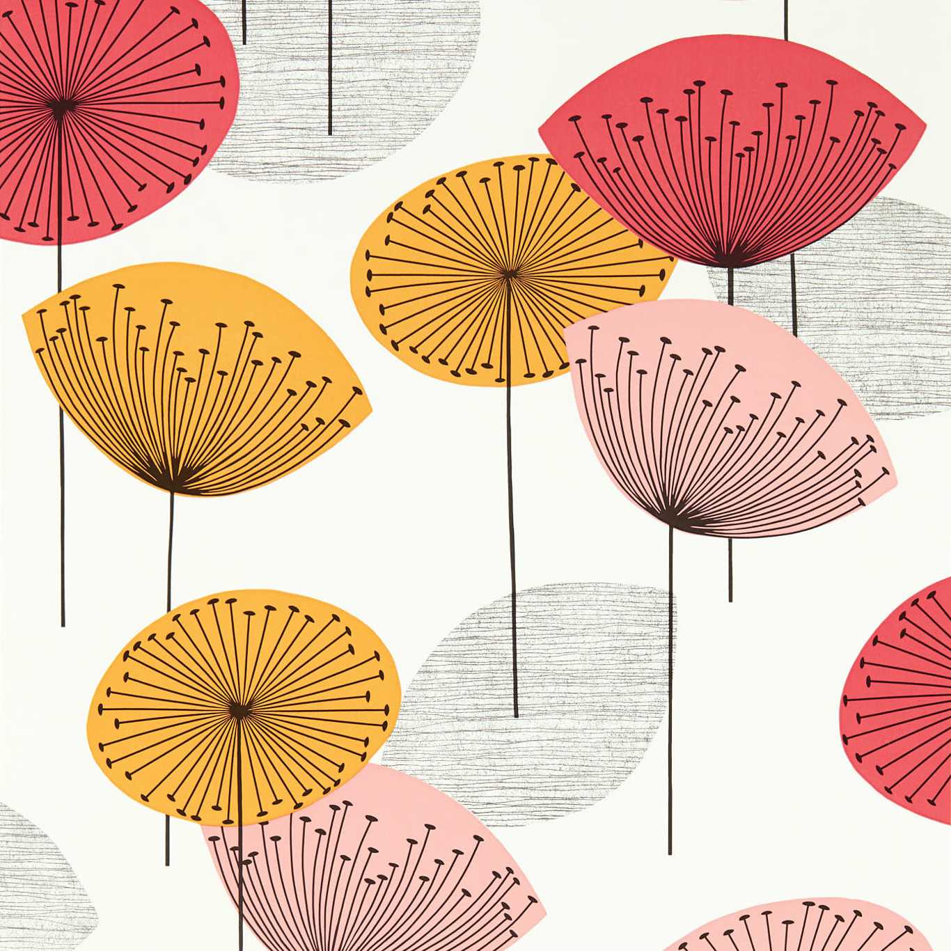 Dandelion-like round blooms with thin black stems in pink, red, yellow and orange on white background with gray circular accents.