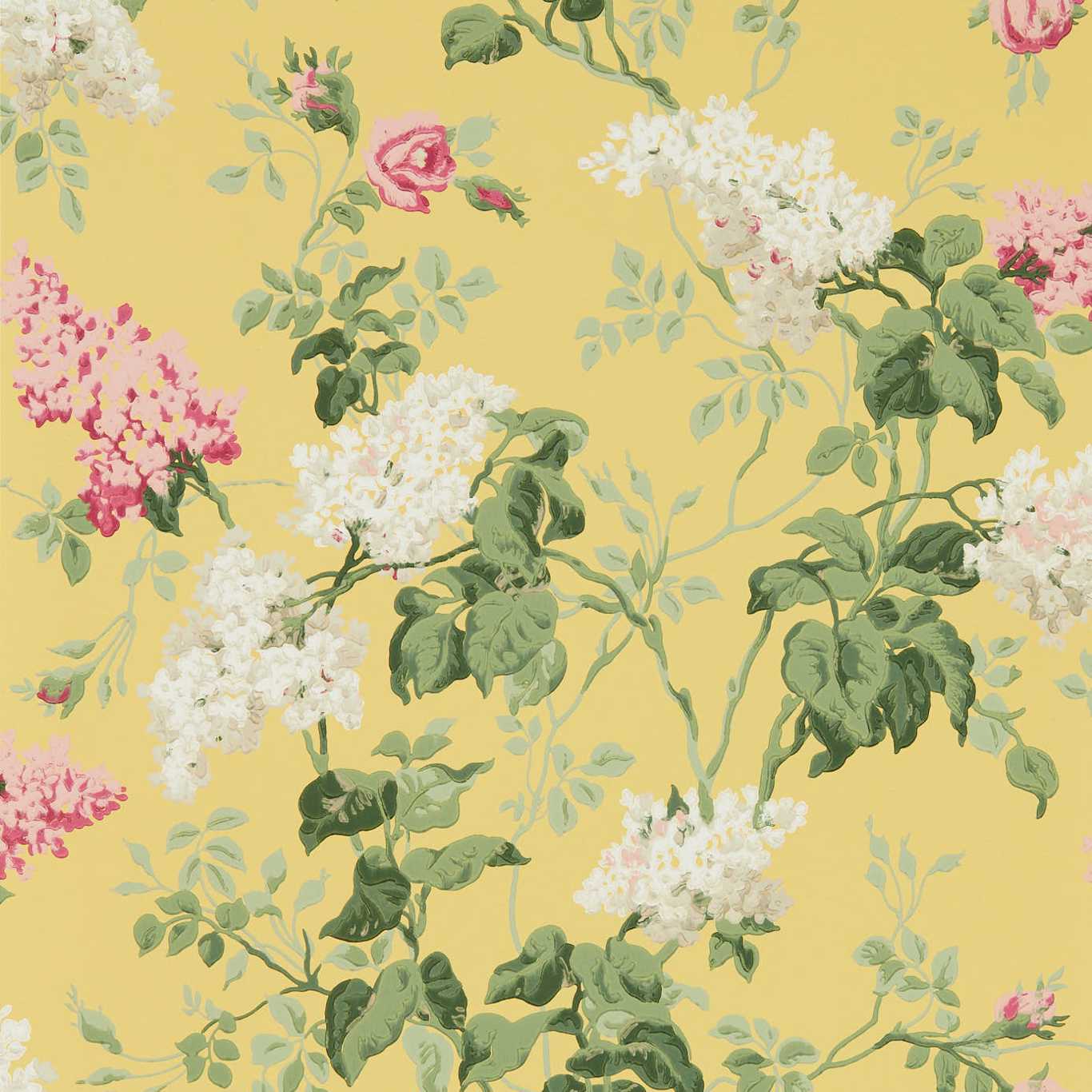 SANDERSON Sommerville Wallpaper Classic Floral Carmen,Daffodil  Surface- Printed Wallpaper - DOSW217051