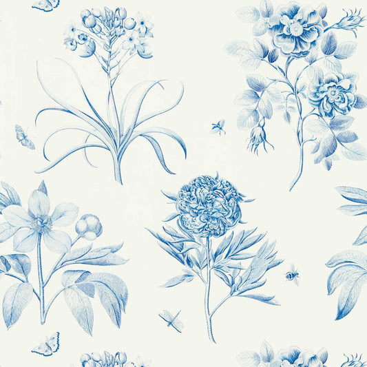 SANDERSON Etchings & Roses  Wallpaper Classic Floral China Blue  Gravure - Wide Width Printed Wallpaper - DOSW217052