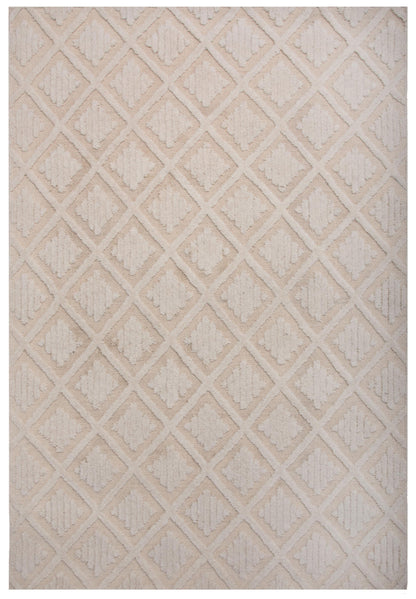 Driftwood transitional rug, 9' x 12