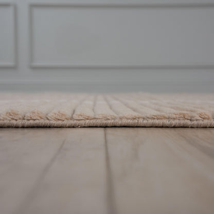 Area rug, 5' x 8'.