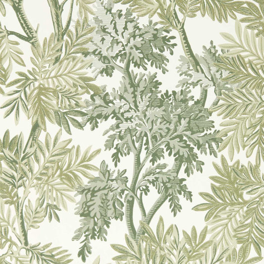 SANDERSON Tapestry Trees Wallpaper Leaves , Trees Forest,Willow  Surflex-Printed Wallpaper - DSAB217416