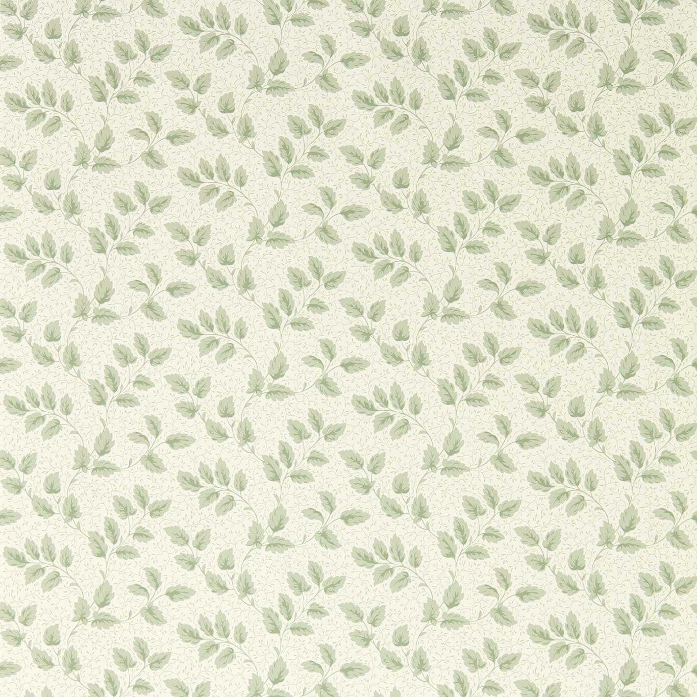 SANDERSON Tomato Leaf Wallpaper Leaves , Trees Willow  Flexo-Printed Wallpaper - DSAB217419