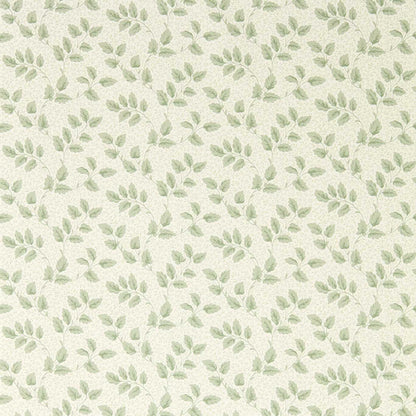 SANDERSON Tomato Leaf Wallpaper Leaves , Trees Willow  Flexo-Printed Wallpaper - DSAB217419