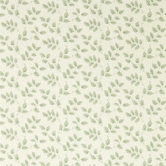 SANDERSON Tomato Leaf Wallpaper Leaves , Trees Willow  Flexo-Printed Wallpaper - DSAB217419