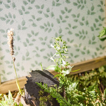 SANDERSON Tomato Leaf Wallpaper Leaves , Trees Willow  Flexo-Printed Wallpaper - DSAB217419