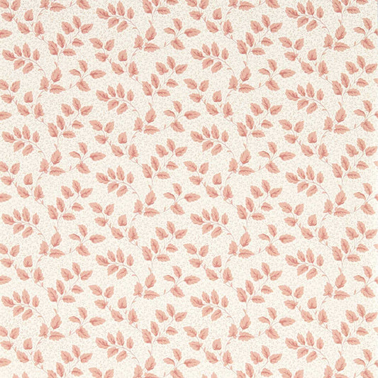 SANDERSON Tomato Leaf Wallpaper Leaves , Trees Pink Clay  Flexo-Printed Wallpaper - DSAB217420