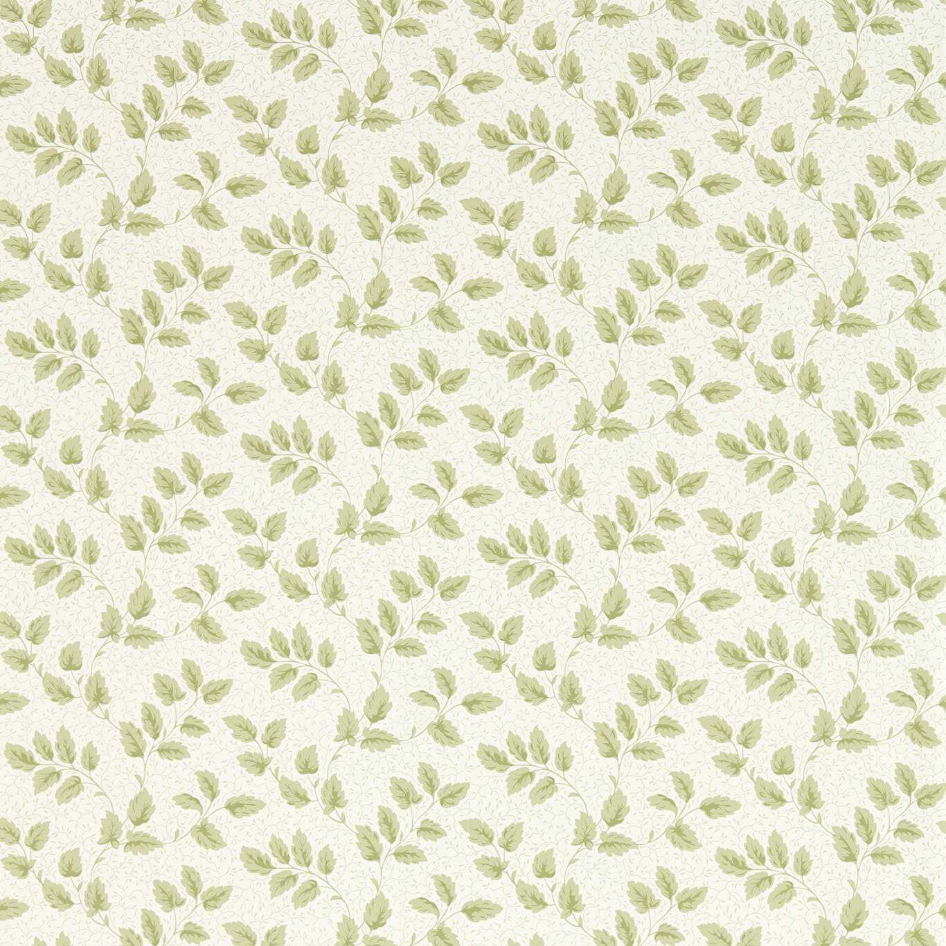 SANDERSON Tomato Leaf Wallpaper Leaves , Trees Leaf Green  Flexo-Printed Wallpaper - DSAB217422