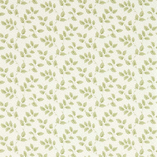 SANDERSON Tomato Leaf Wallpaper Leaves , Trees Leaf Green  Flexo-Printed Wallpaper - DSAB217422
