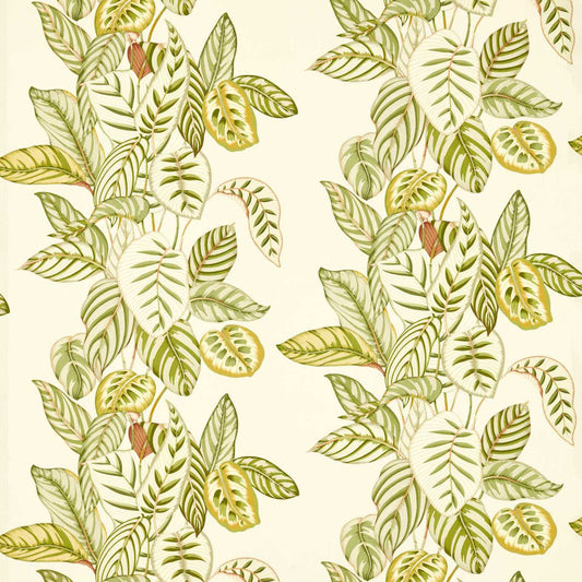 SANDERSON Calathea Fabric Leaves , Trees Samphire   - DSAN227189