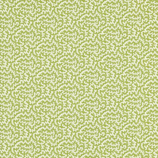 SANDERSON Truffle Fabric Spots Olive   - DSAN227204