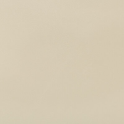 KRAVET DESIGN VINYL/FAUX LEATHER TEXTURE WHEAT,NEUTRAL,BEIGE   - DUANE.116.0