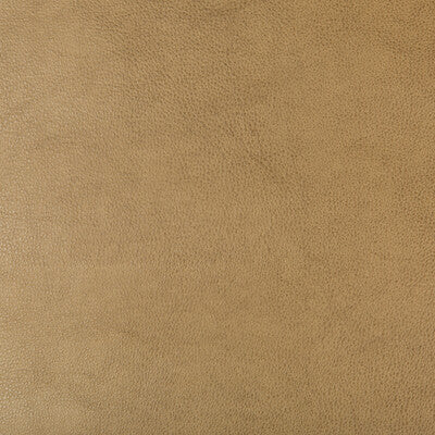 KRAVET DESIGN VINYL/FAUX LEATHER TEXTURE CAMEL,BEIGE,   - DUST.106.0