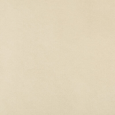 KRAVET DESIGN VINYL/FAUX LEATHER TEXTURE IVORY,WHEAT,   - DUST.116.0