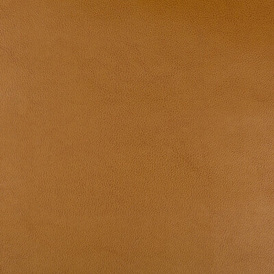 KRAVET DESIGN VINYL/FAUX LEATHER TEXTURE CAMEL,BROWN,   - DUST.624.0