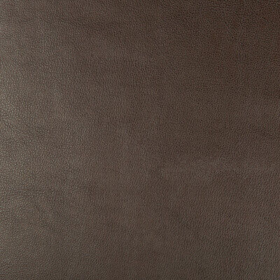 KRAVET DESIGN VINYL/FAUX LEATHER TEXTURE ESPRESSO,CHOCOLATE,   - DUST.66.0