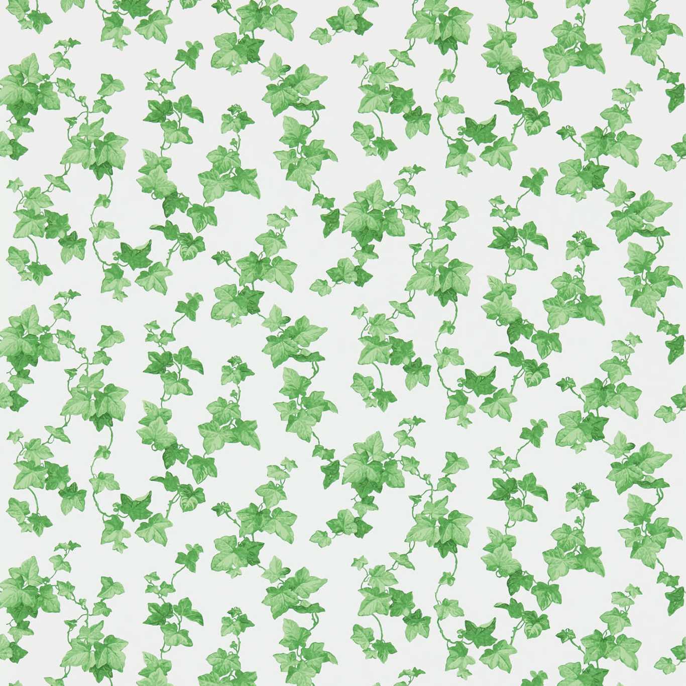 SANDERSON Hedera Wallpaper Leaves , Trees Green  Gravure Printed Wallpaper - DVIN214593