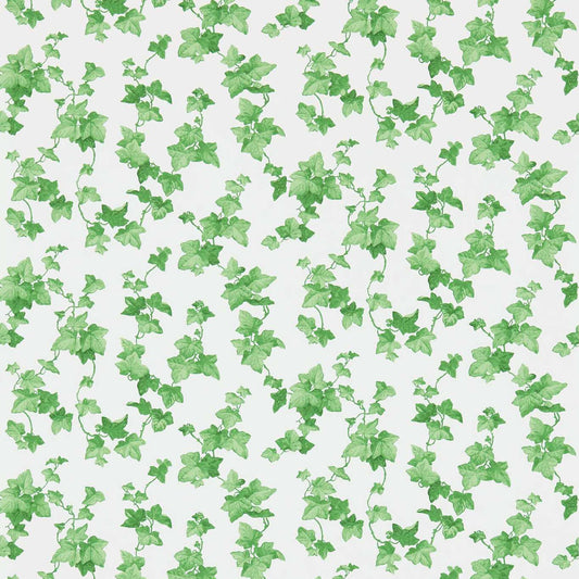 SANDERSON Hedera Wallpaper Leaves , Trees Green  Gravure Printed Wallpaper - DVIN214593