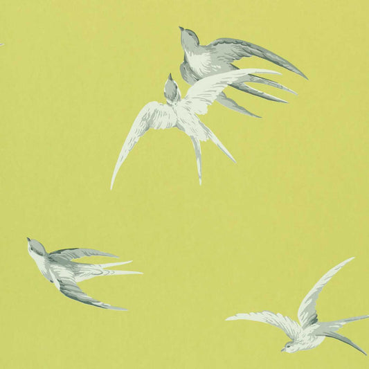 SANDERSON Swallows Wallpaper Birds Lime  Gravure Printed Wallpaper - DVIWSW101