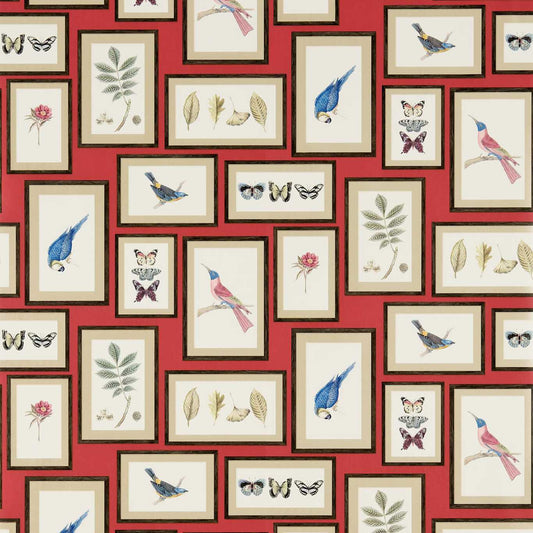 SANDERSON Picture Gallery Wallpaper Other Red,Multi  Gravure - Wide Width Printed Wallpaper - DVOY213398